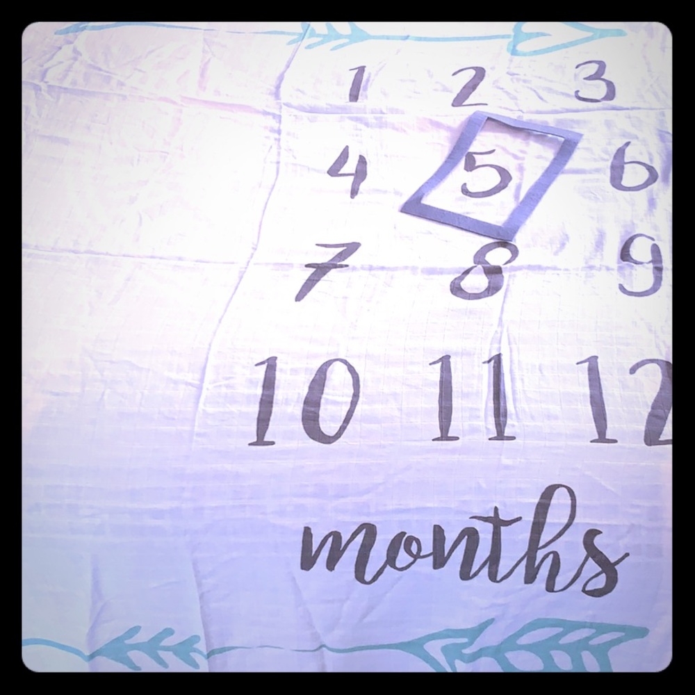 Baby monthly milestone sheet